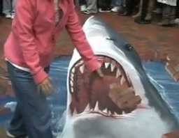 amazing 3d street art, a shark whom you can touch